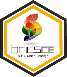 Logo-Beecom-Digital-Odair-de-Brito-BRICSCE