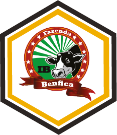 Logo-Beecom-Digital-Odair-de-Brito-FAZ-BENFICA