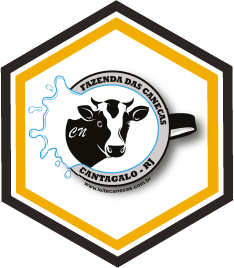 Logo-Beecom-Digital-Odair-de-Brito-FAZENDA-DAS-CANECAS