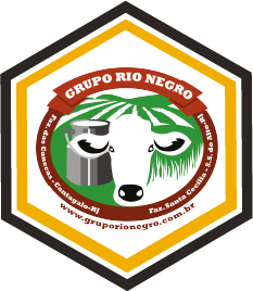 Logo-Beecom-Digital-Odair-de-Brito-GRUPO-RIO-NEGRO