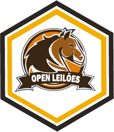 Logo-Beecom-Digital-Odair-de-Brito-OPEN-LEILOES
